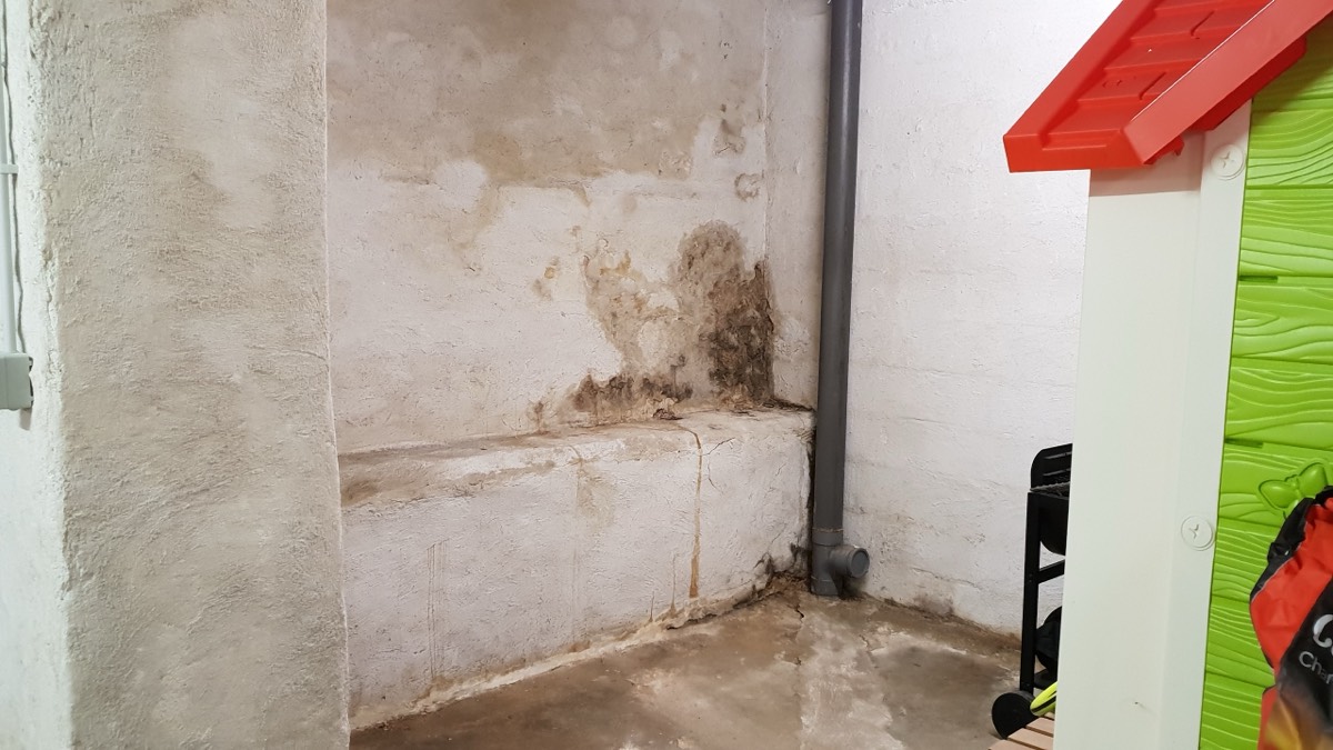 Infiltrations d'eau - Expertise humidité à Strasbourg